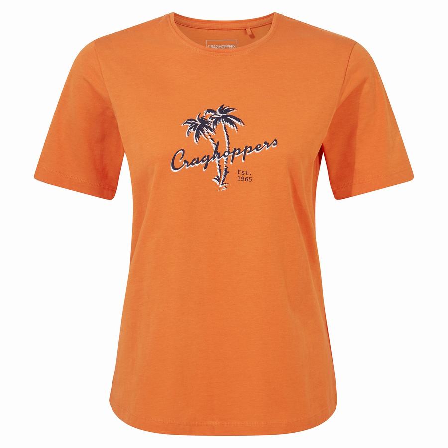 Craghoppers Ally Kort Sleeved T-shirts Dame Orange | IUJ649SM