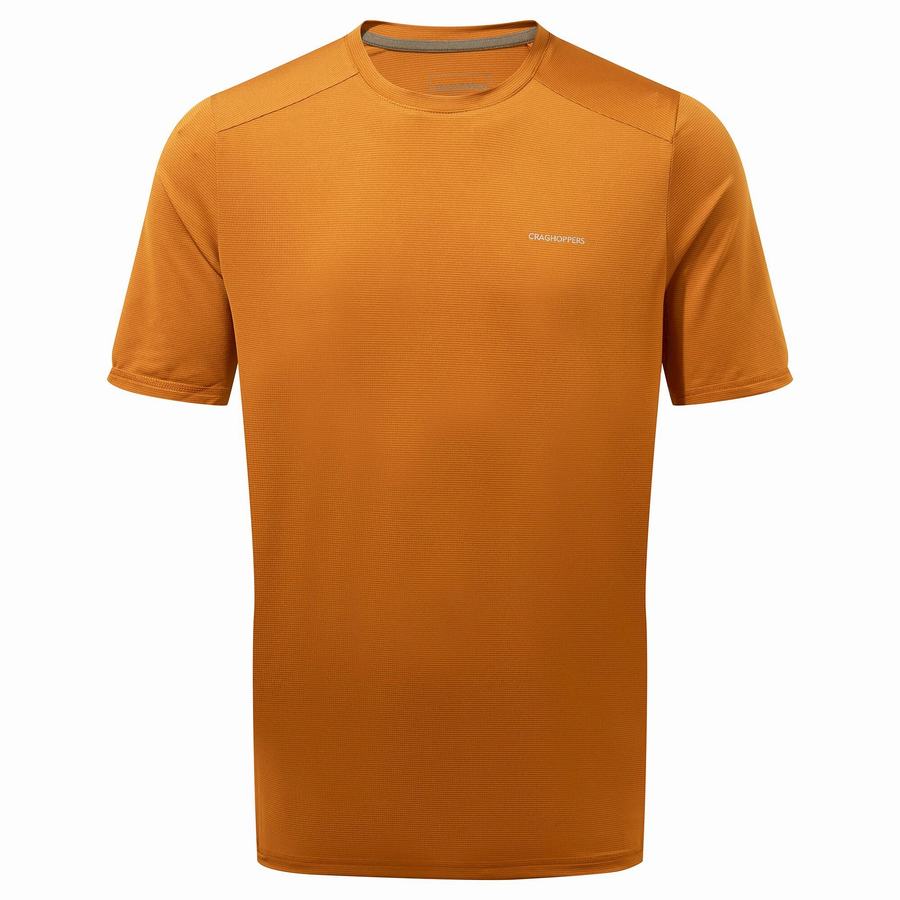 Craghoppers Belardo Kort Sleeved T-shirts Herre Orange | FTF591KV