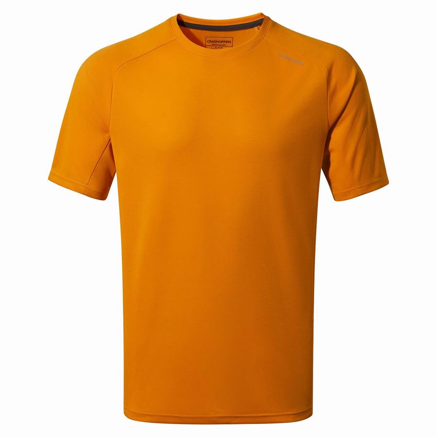 Craghoppers Dynamic Pro Kort Sleeved T-shirts Herre Orange | BYD7449RM