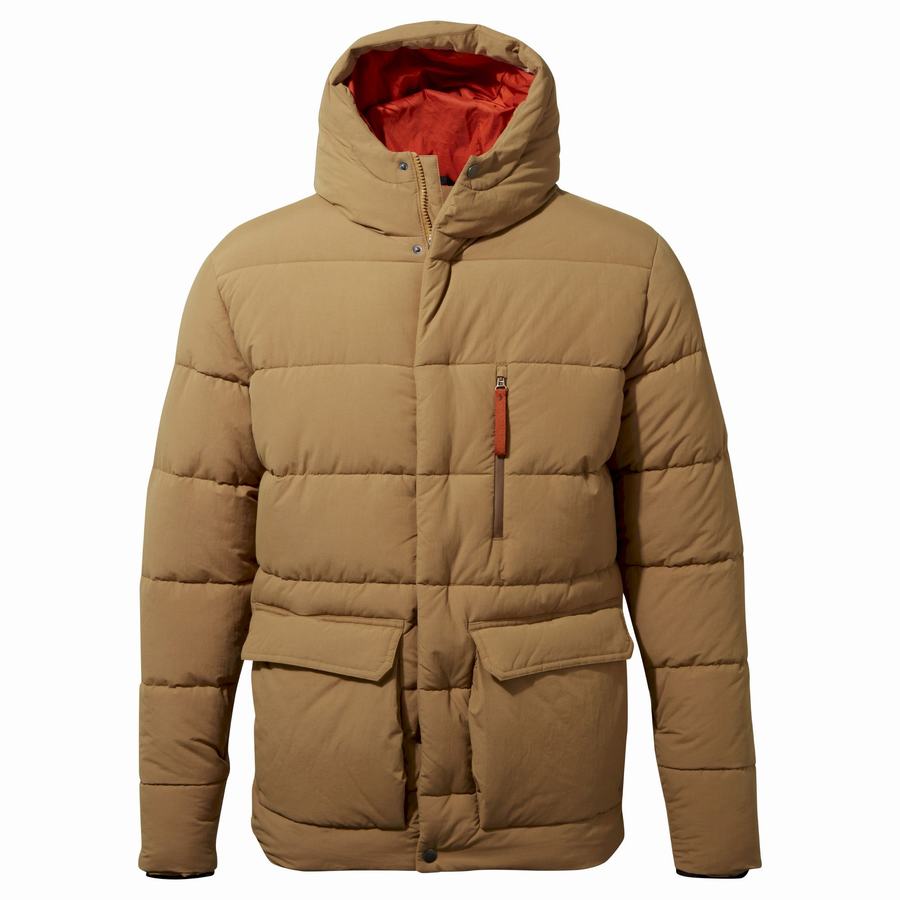 Craghoppers Insulated Cromarty Jakker Herre Mørkekhaki | HGZ2190OM