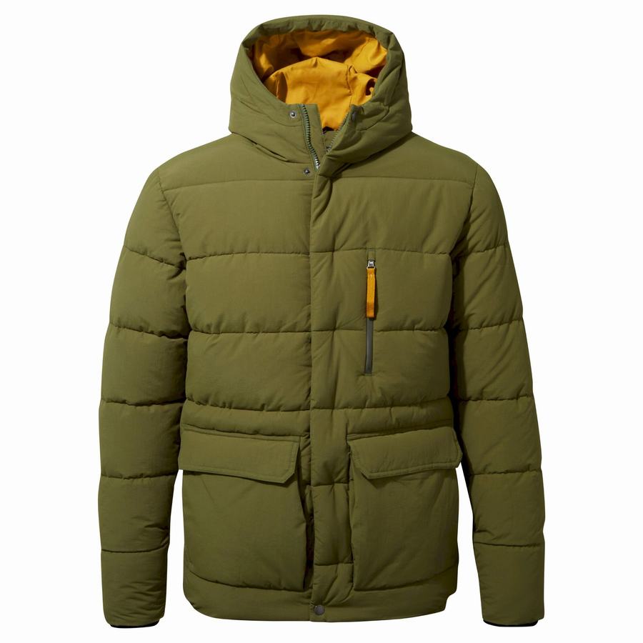 Craghoppers Insulated Cromarty Jakker Herre Grøn | QBQ2585HI