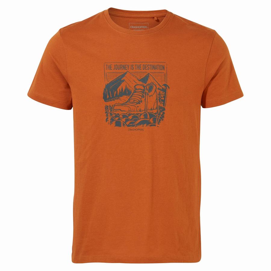 Craghoppers Lugo Kort Sleeved T-shirts Herre Orange | HQC6094WY