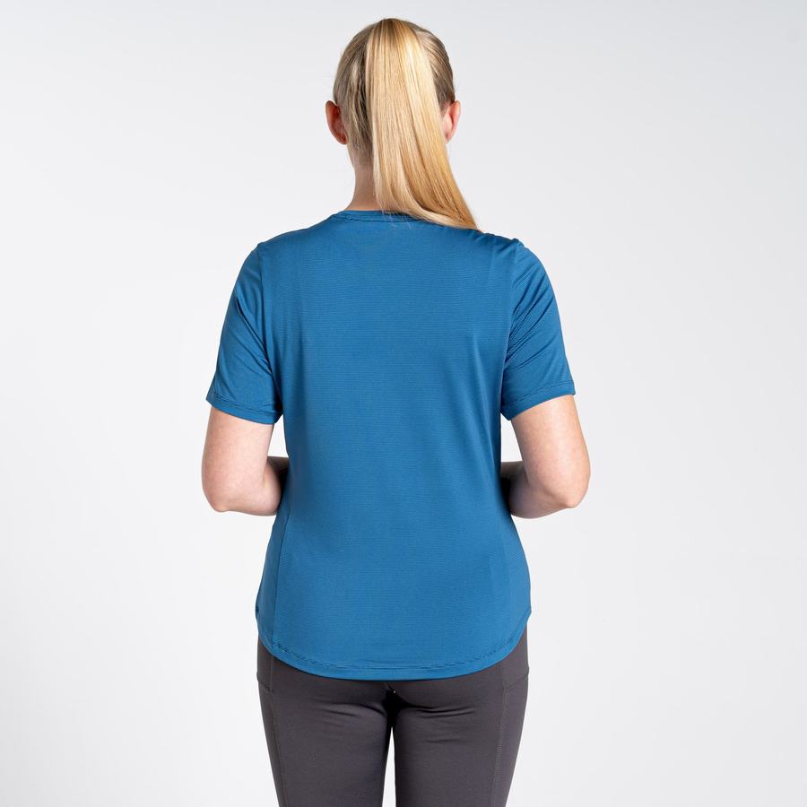 Craghoppers Aliso Kort Sleeved T-shirts Dame Blå | LRK4590LX