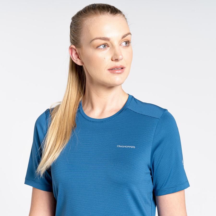 Craghoppers Aliso Kort Sleeved T-shirts Dame Blå | LRK4590LX