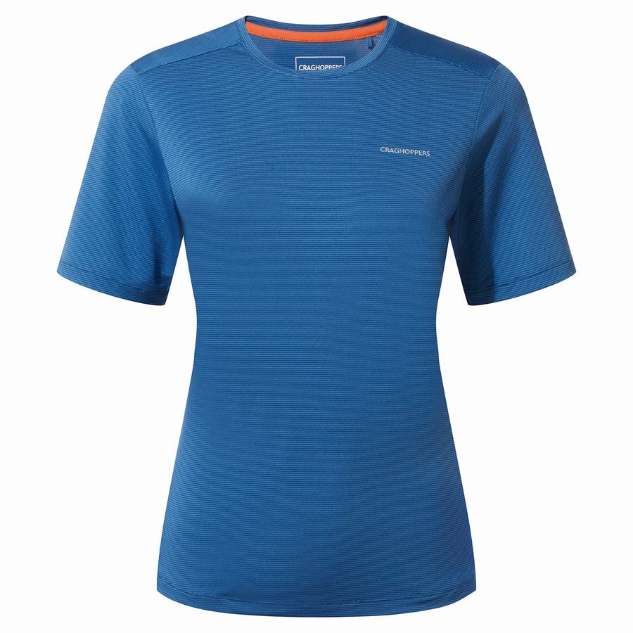 Craghoppers Aliso Kort Sleeved T-shirts Dame Blå | LRK4590LX