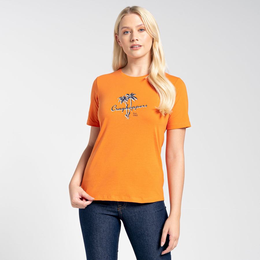 Craghoppers Ally Kort Sleeved T-shirts Dame Orange | IUJ649SM