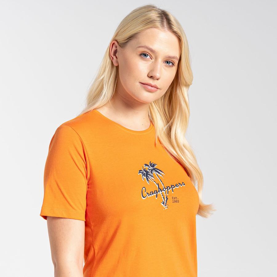 Craghoppers Ally Kort Sleeved T-shirts Dame Orange | IUJ649SM