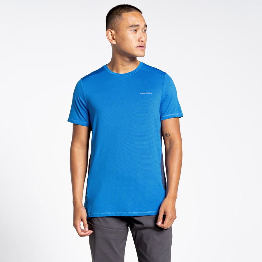 Craghoppers Atmos Kort Sleeved T-shirts Herre Blå | ANU6055IP