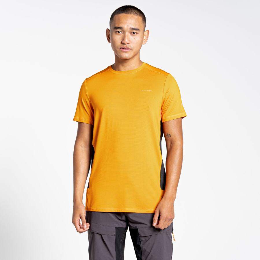 Craghoppers Atmos Kort Sleeved T-shirts Herre Orange | QWX4765SH