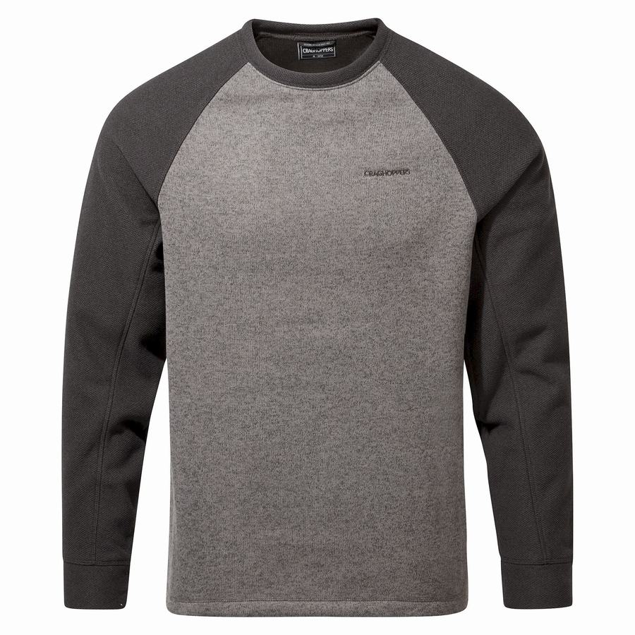 Craghoppers Barker Jumper Sweatshirts Herre Grå | XIW7815QT