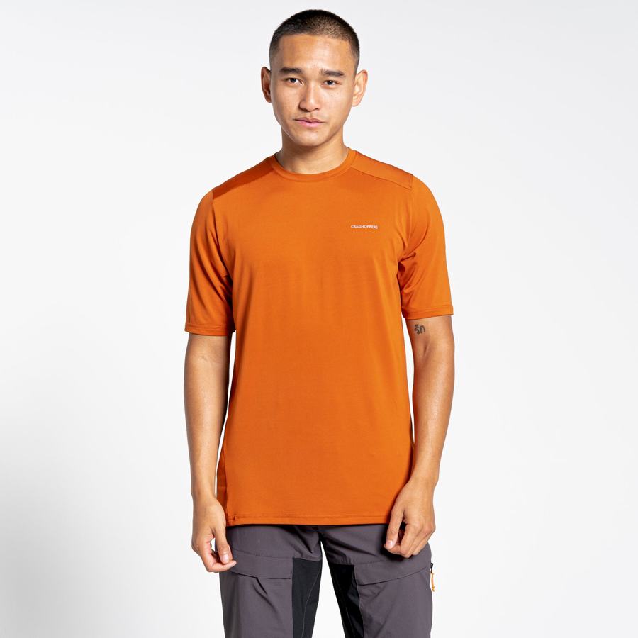 Craghoppers Belardo Kort Sleeved T-shirts Herre Orange | FTF591KV