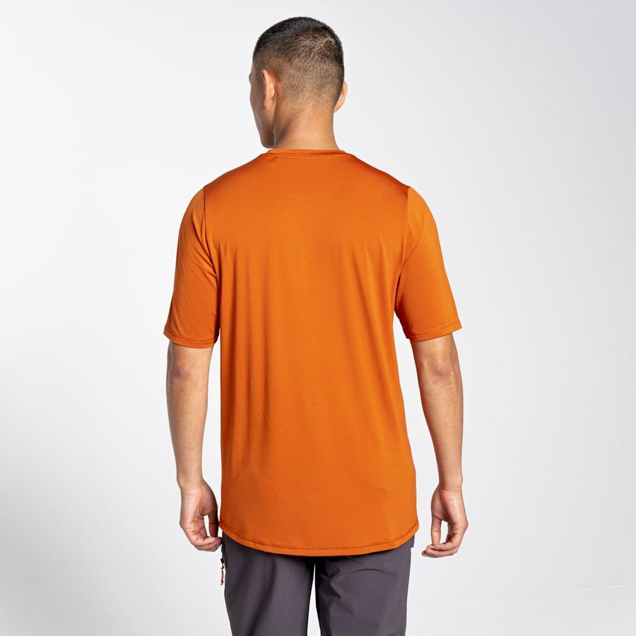 Craghoppers Belardo Kort Sleeved T-shirts Herre Orange | FTF591KV