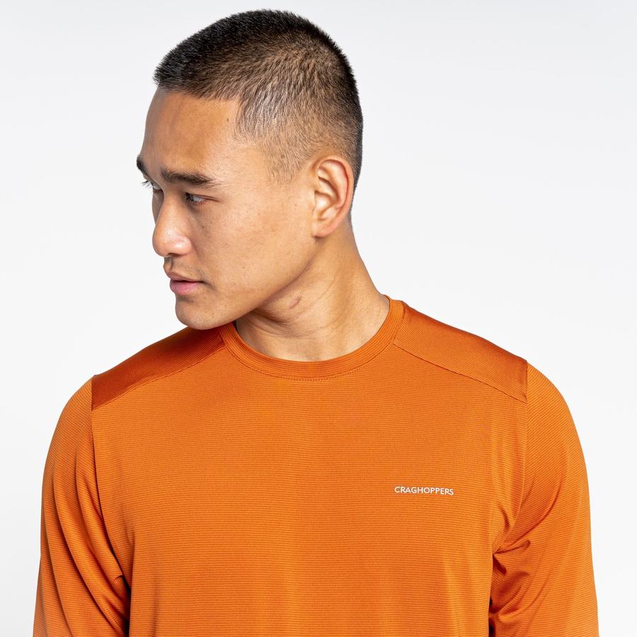 Craghoppers Belardo Kort Sleeved T-shirts Herre Orange | FTF591KV