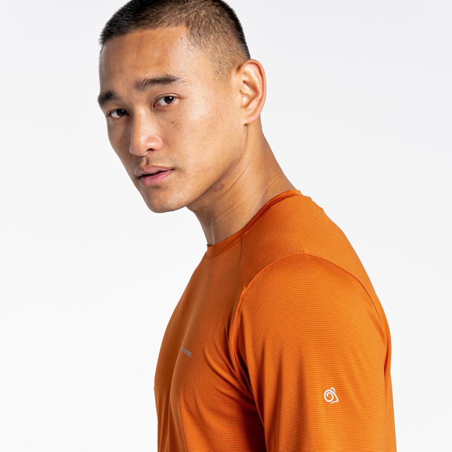 Craghoppers Belardo Kort Sleeved T-shirts Herre Orange | FTF591KV