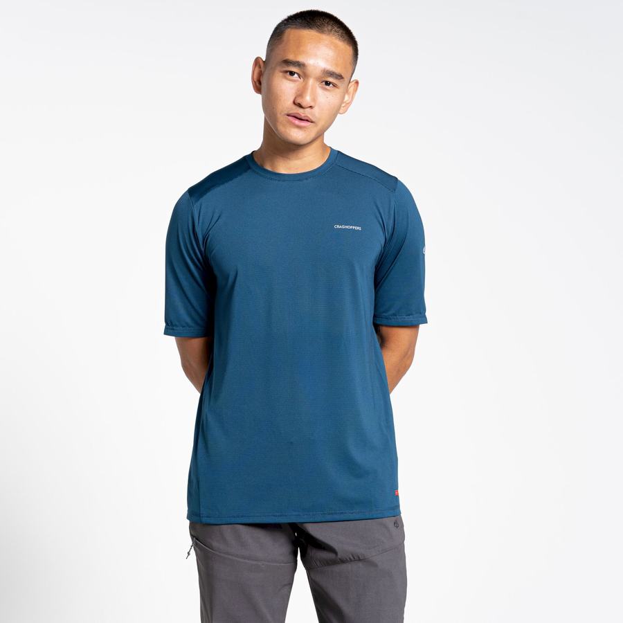 Craghoppers Belardo Kort Sleeved T-shirts Herre Mørkeblå Blå | TEX4768UL