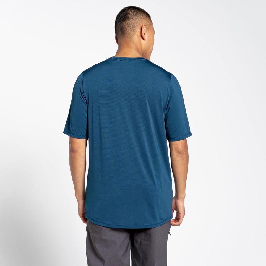 Craghoppers Belardo Kort Sleeved T-shirts Herre Mørkeblå Blå | TEX4768UL