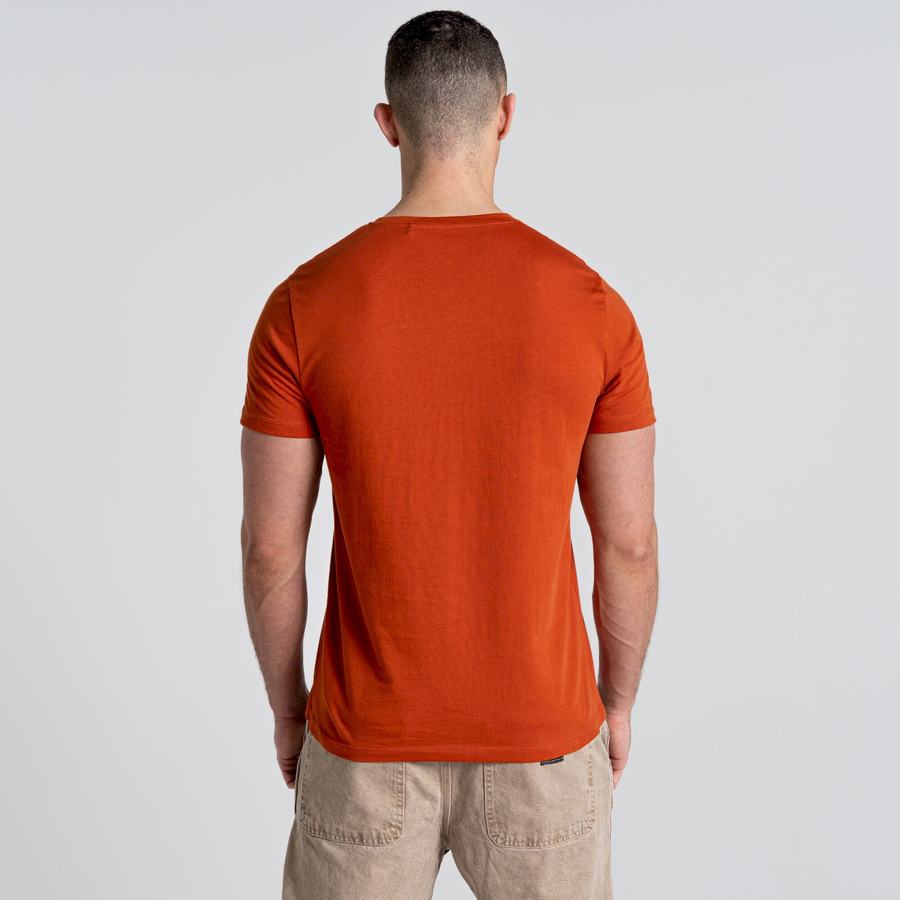 Craghoppers Caldo Kort Sleeved T-shirts Herre Orange | NPP718DT