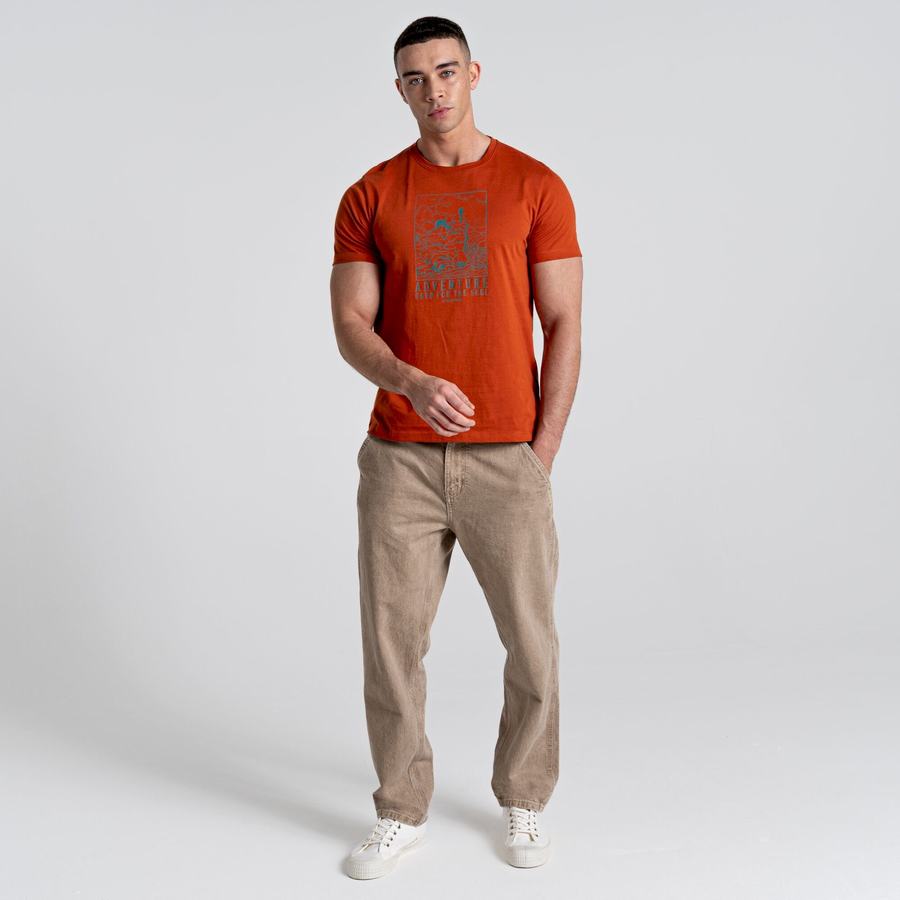 Craghoppers Caldo Kort Sleeved T-shirts Herre Orange | NPP718DT