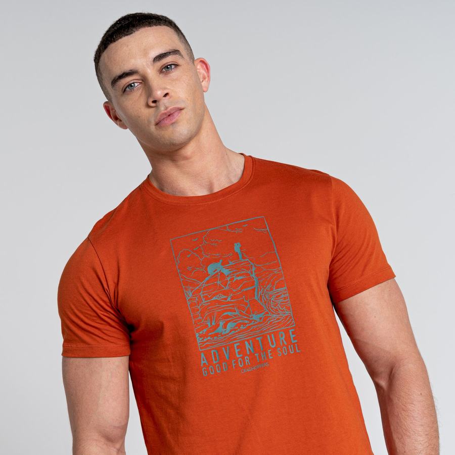 Craghoppers Caldo Kort Sleeved T-shirts Herre Orange | NPP718DT