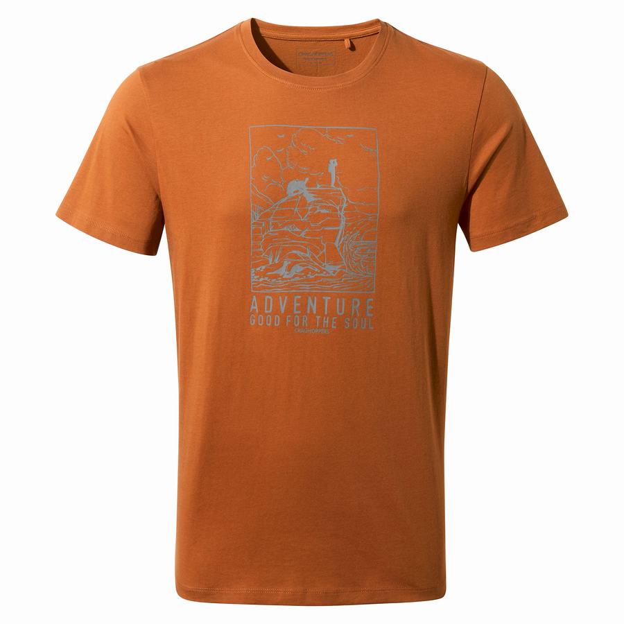 Craghoppers Caldo Kort Sleeved T-shirts Herre Orange | NPP718DT