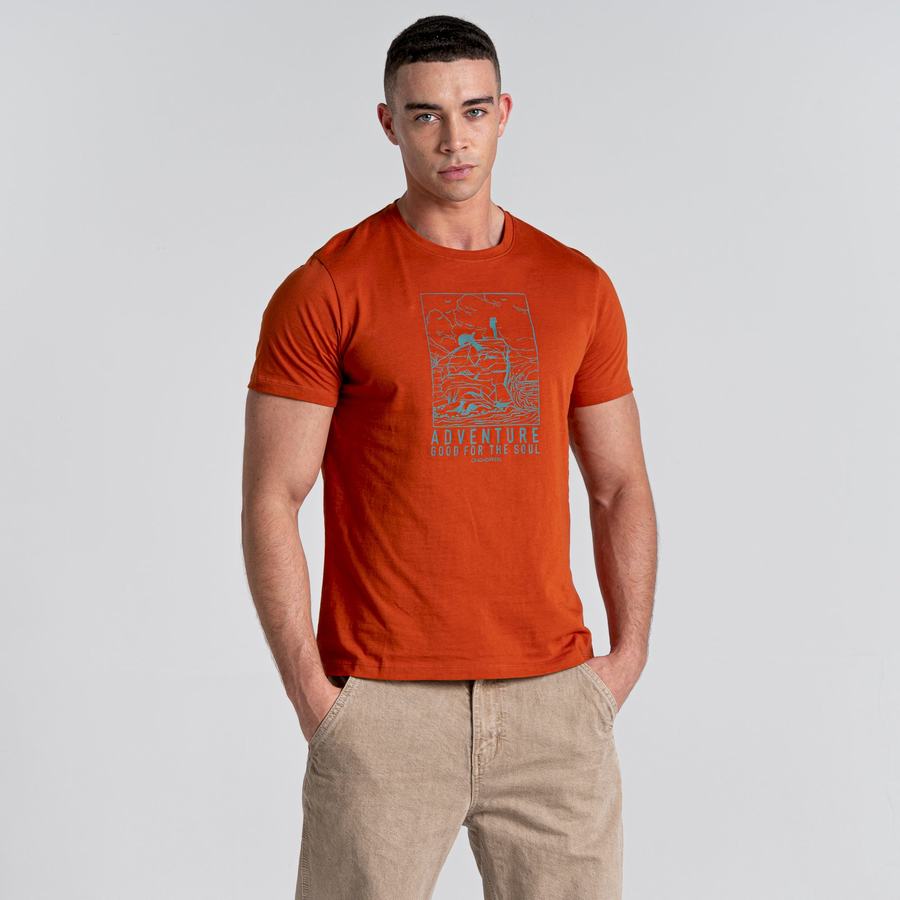 Craghoppers Caldo Kort Sleeved T-shirts Herre Orange | NPP718DT