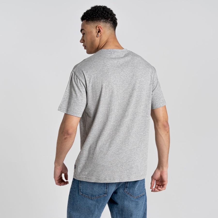 Craghoppers Crosby Kort Sleeved T-shirts Dame Grå | HAZ993BA