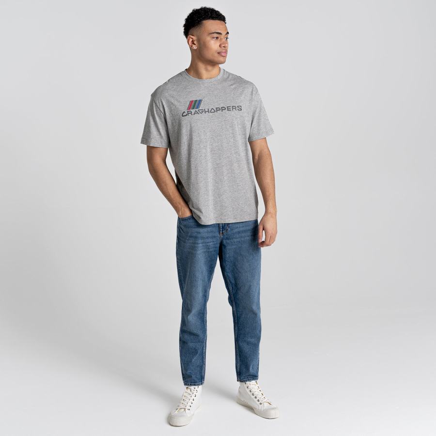 Craghoppers Crosby Kort Sleeved T-shirts Dame Grå | HAZ993BA