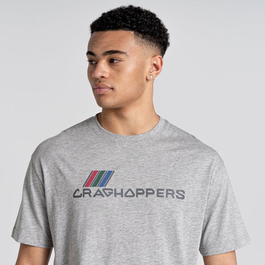 Craghoppers Crosby Kort Sleeved T-shirts Dame Grå | HAZ993BA