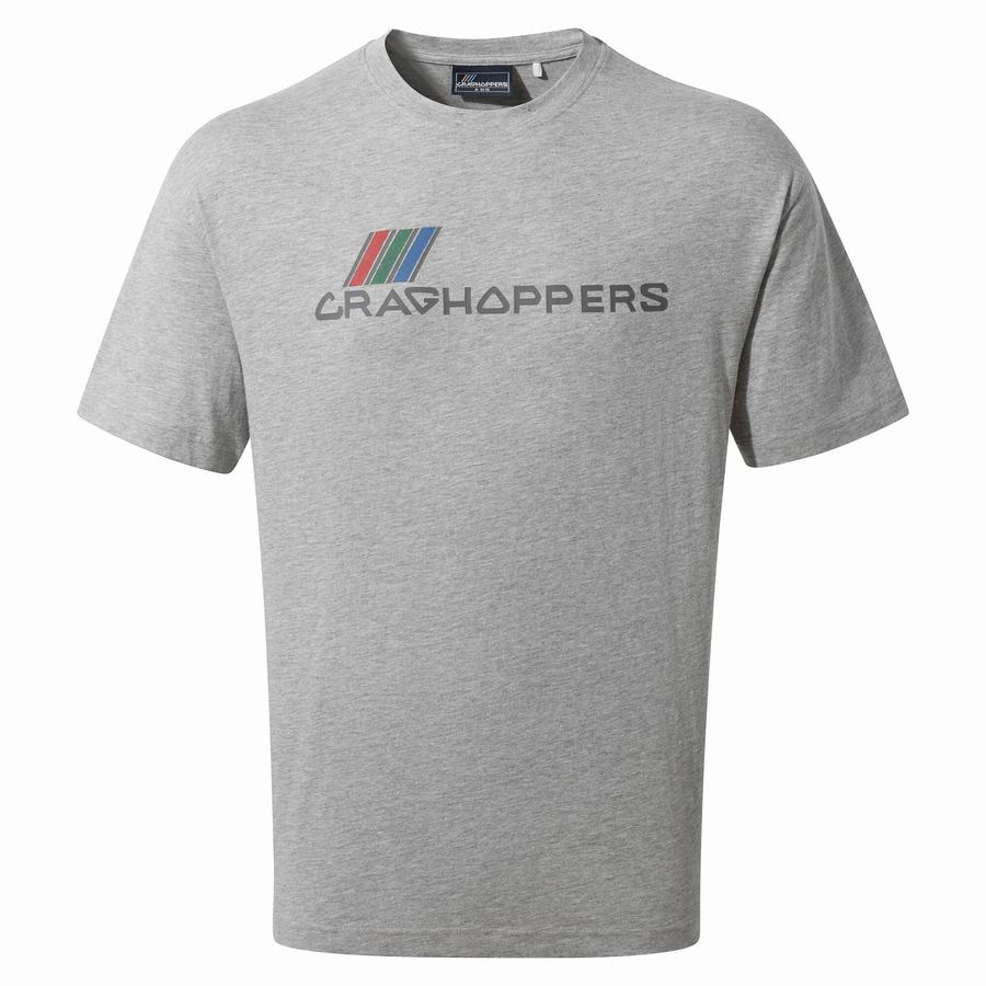 Craghoppers Crosby Kort Sleeved T-shirts Dame Grå | HAZ993BA