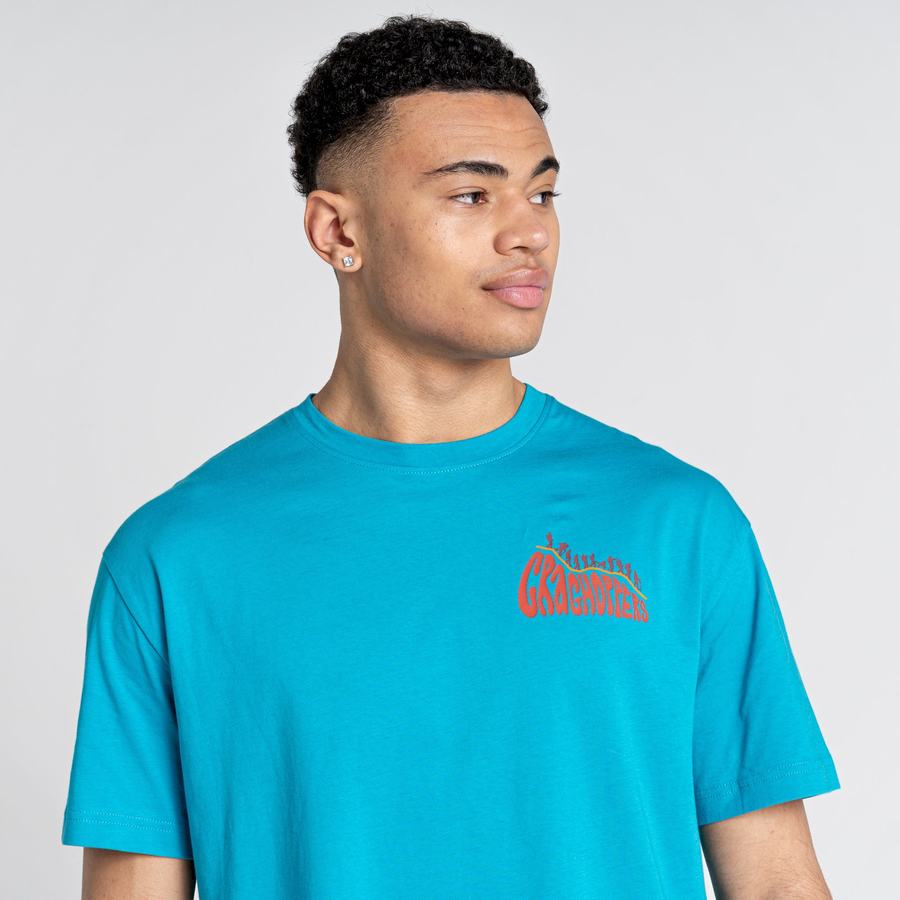 Craghoppers Crosby Kort Sleeved T-shirts Dame Blå | IFY5667NG