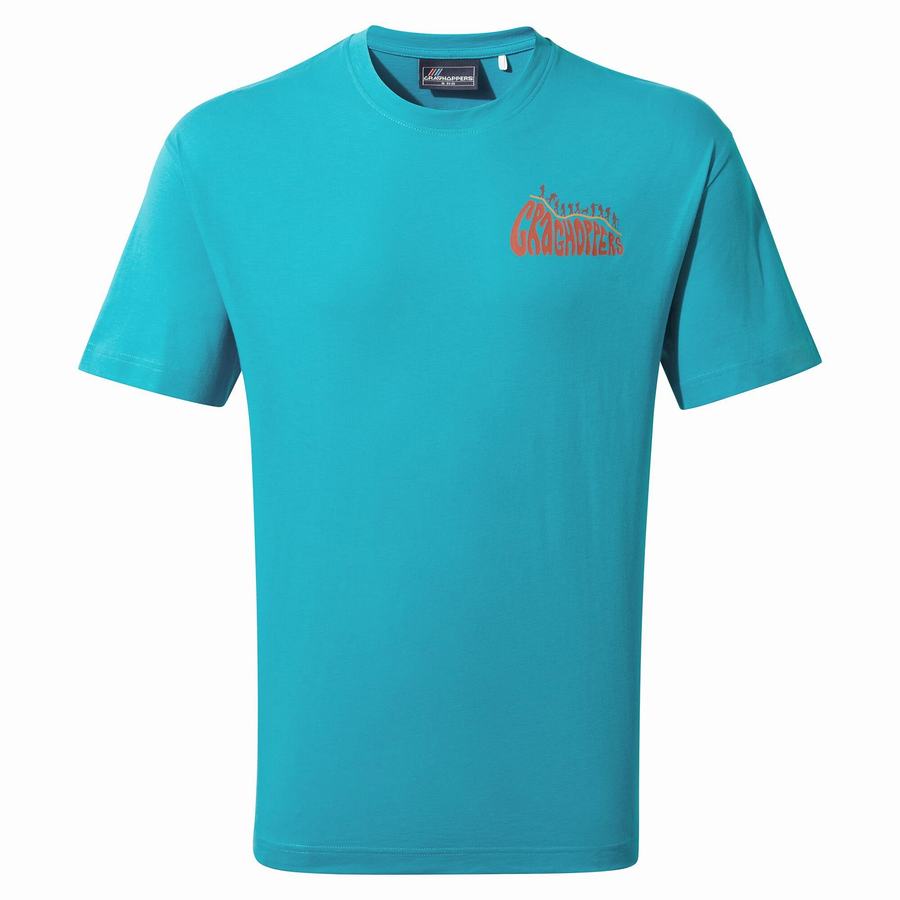 Craghoppers Crosby Kort Sleeved T-shirts Dame Blå | IFY5667NG