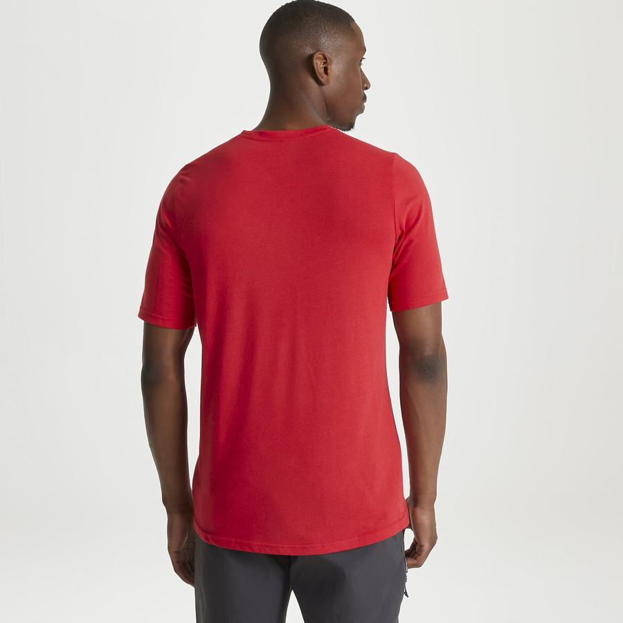 Craghoppers Dynamic Kort Sleeved Sriracha Red T-shirts Herre Rød | SLF2122WR