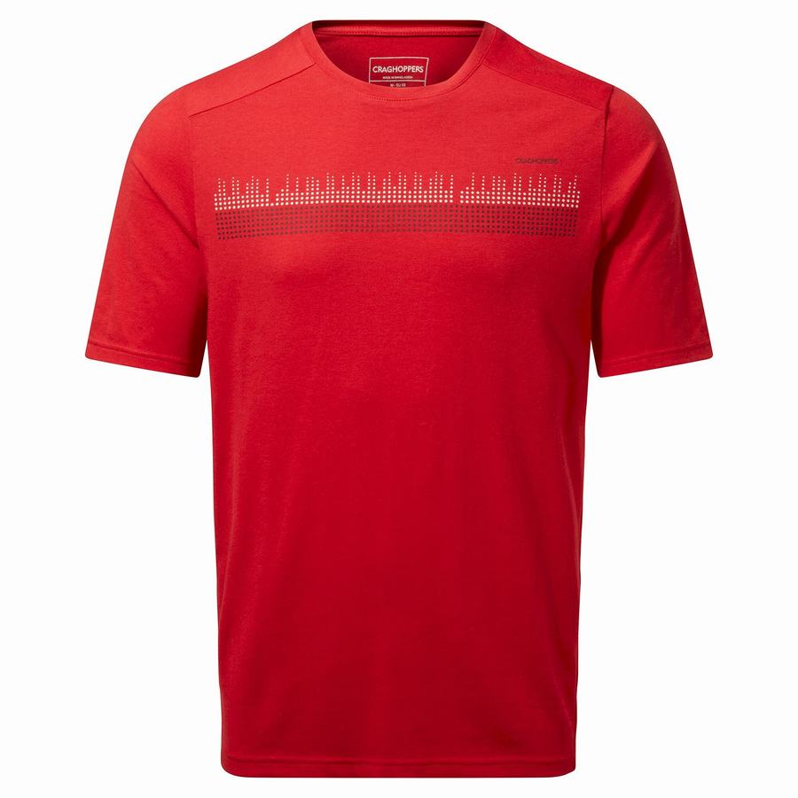 Craghoppers Dynamic Kort Sleeved Sriracha Red T-shirts Herre Rød | SLF2122WR