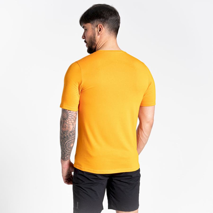 Craghoppers Dynamic Kort Sleeved T-shirts Herre Orange | DEH5990DG