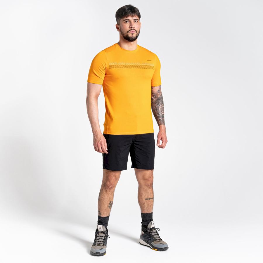 Craghoppers Dynamic Kort Sleeved T-shirts Herre Orange | DEH5990DG