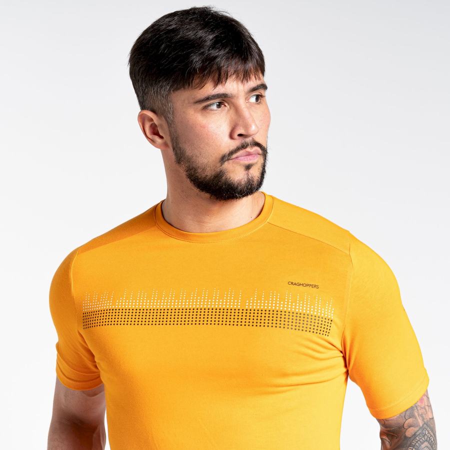 Craghoppers Dynamic Kort Sleeved T-shirts Herre Orange | DEH5990DG