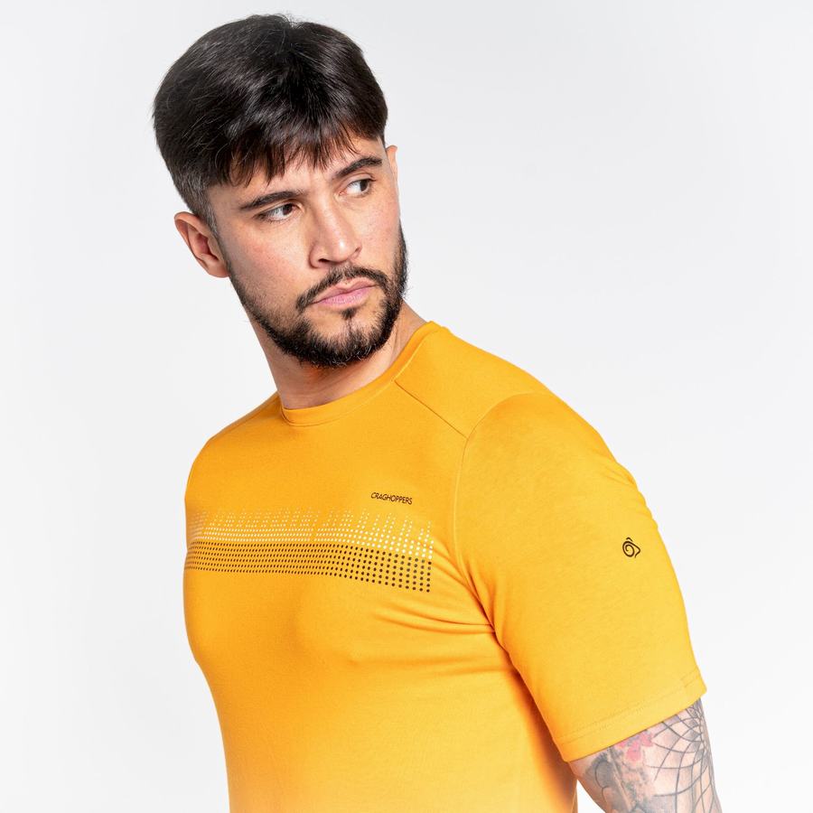 Craghoppers Dynamic Kort Sleeved T-shirts Herre Orange | DEH5990DG