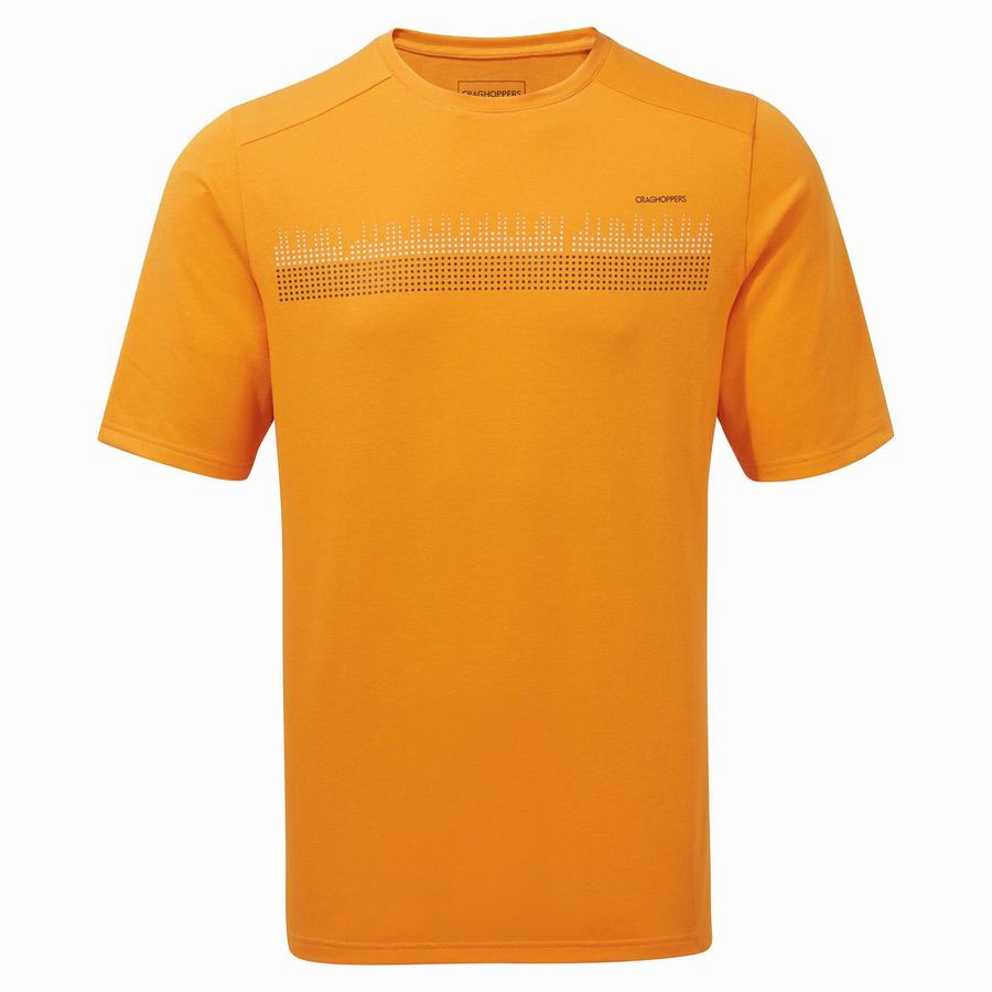 Craghoppers Dynamic Kort Sleeved T-shirts Herre Orange | DEH5990DG