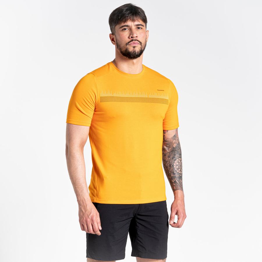 Craghoppers Dynamic Kort Sleeved T-shirts Herre Orange | DEH5990DG