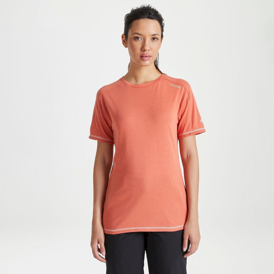 Craghoppers Dynamic Kort Sleeved Warm Ginger T-shirts Dame Orange | RPX901XJ