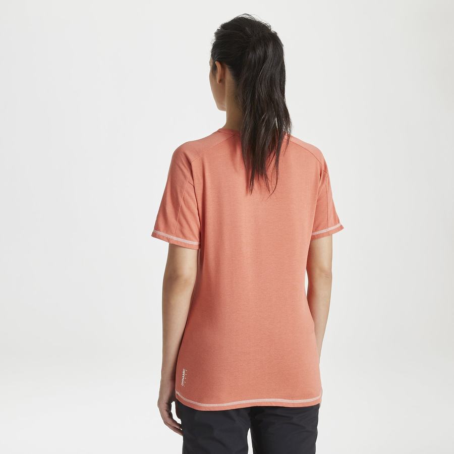 Craghoppers Dynamic Kort Sleeved Warm Ginger T-shirts Dame Orange | RPX901XJ