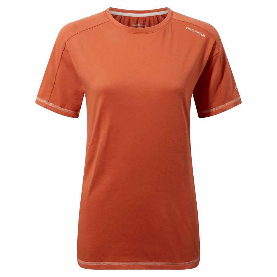 Craghoppers Dynamic Kort Sleeved Warm Ginger T-shirts Dame Orange | RPX901XJ