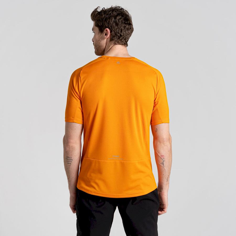 Craghoppers Dynamic Pro Kort Sleeved T-shirts Herre Orange | BYD7449RM