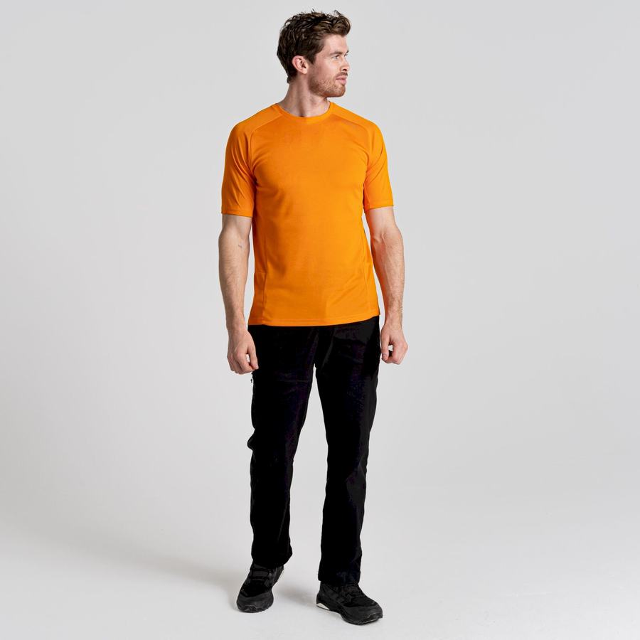 Craghoppers Dynamic Pro Kort Sleeved T-shirts Herre Orange | BYD7449RM