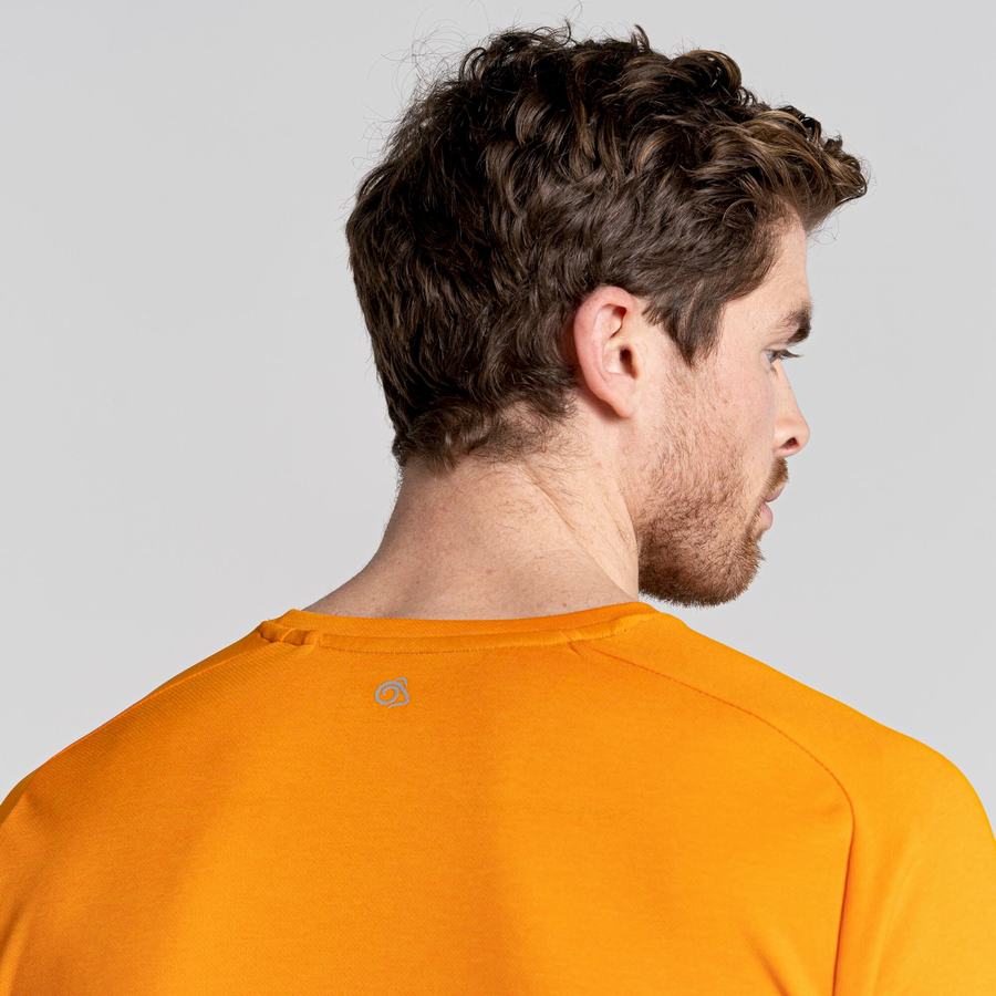 Craghoppers Dynamic Pro Kort Sleeved T-shirts Herre Orange | BYD7449RM