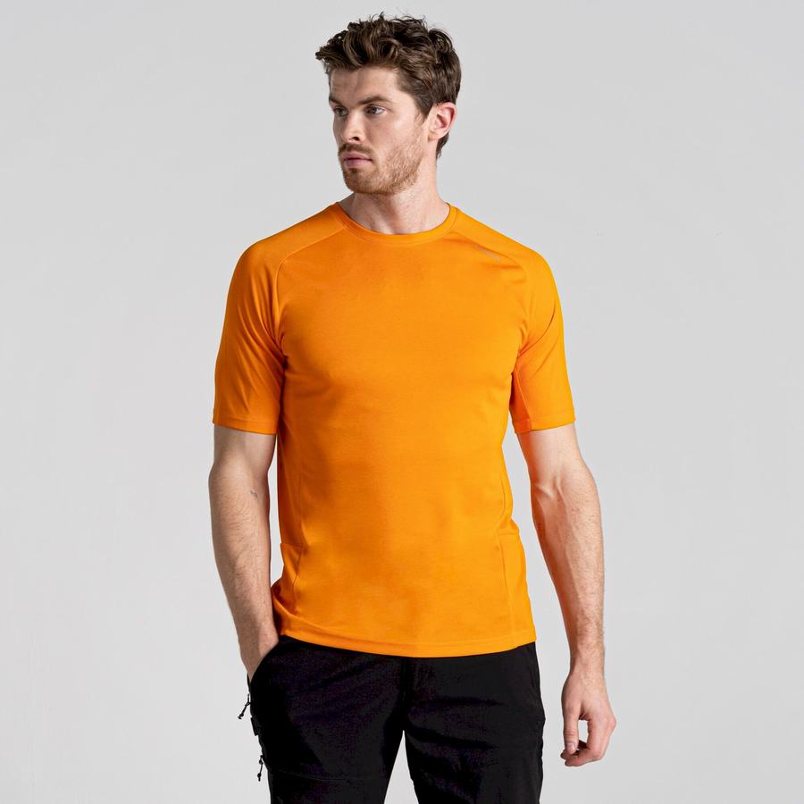 Craghoppers Dynamic Pro Kort Sleeved T-shirts Herre Orange | BYD7449RM