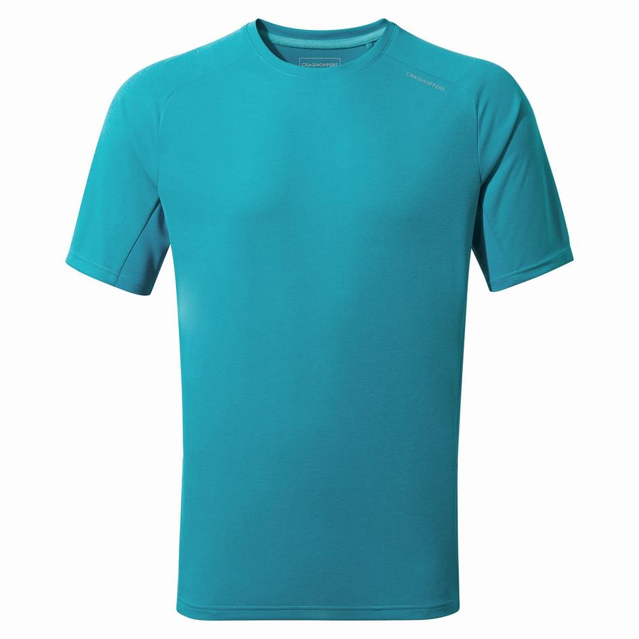 Craghoppers Dynamic Pro Kort Sleeved T-shirts Herre Blå | JGG8459PD