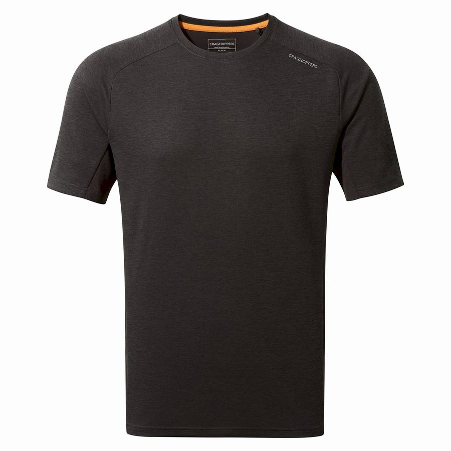 Craghoppers Dynamic Pro Kort Sleeved T-shirts Herre Sort | YXF5675RX