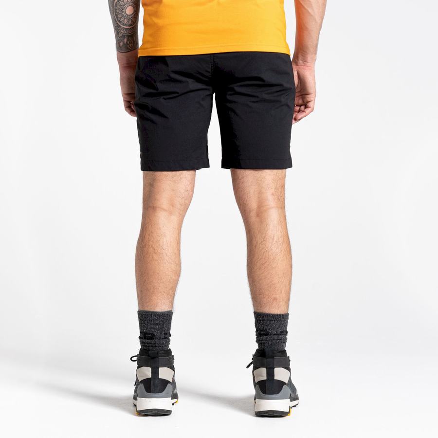 Craghoppers Dynamic Pro Shorts Herre Sort | AUP5031TY