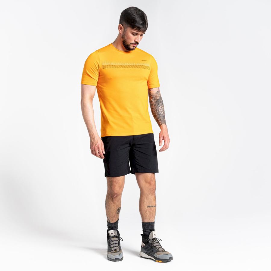 Craghoppers Dynamic Pro Shorts Herre Sort | AUP5031TY